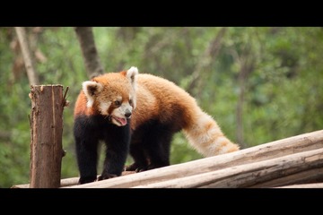 20130616-_6160025.jpg