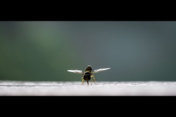 20130622-_1030040.jpg