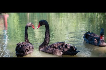 20130705-_7051042.jpg