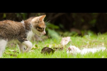 20120624-VZ249716.jpg