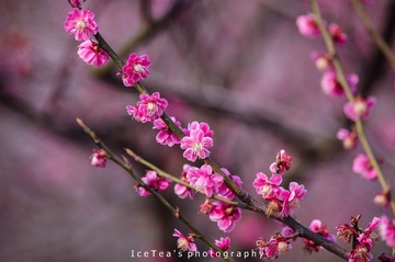 DSC_9724.jpg