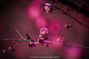 DSC_9728.jpg