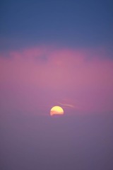DSC_9113.jpg