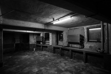 DSC_0914.jpg