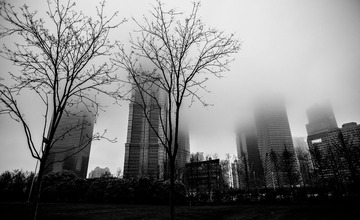 DSC_1740.jpg