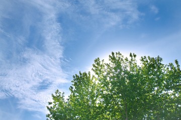DSC_2520.JPG