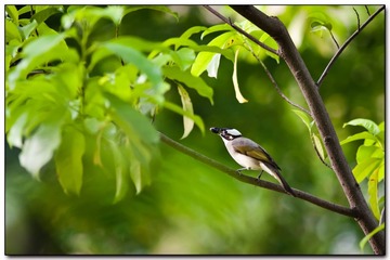 DSC_4026.jpg