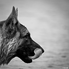 DSC_5986.jpg