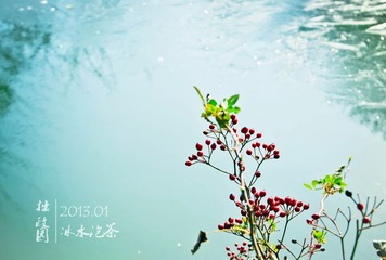 2013-01拙政园
