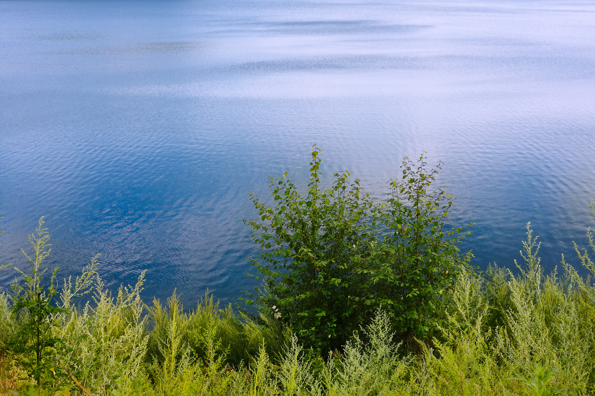 行摄·东北之夏 - 行摄·东北之夏 - 24k - 图虫摄影网
