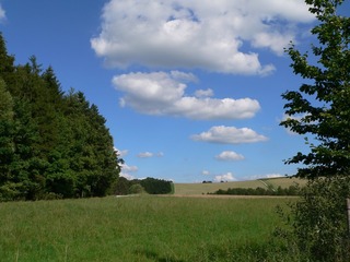 200898864865345542