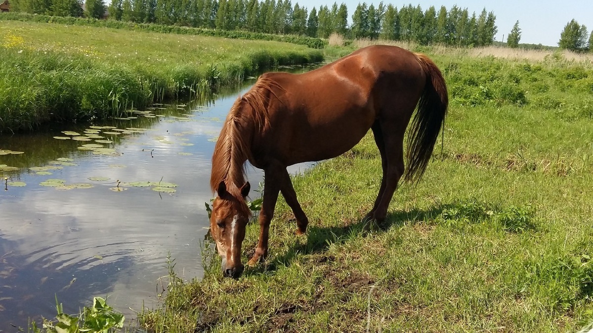 薄情马子 - 图虫