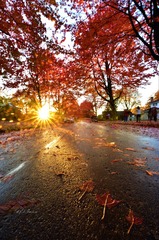 UBC_1228_pssmall