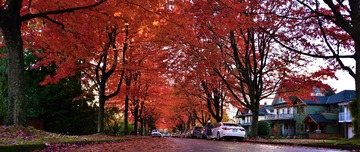 UBC_1234_pssmall