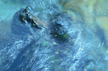 FL7_4135.JPG