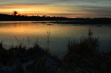 F13_5790_sm.JPG