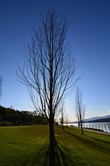 F13_1544_sm.JPG