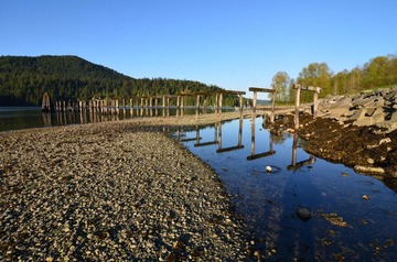 F13_1568_sm.JPG