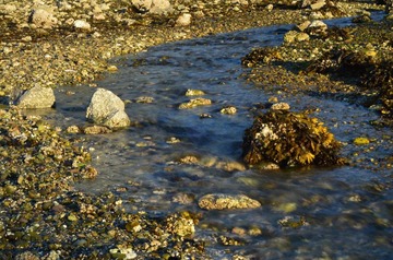 F13_1590_sm.JPG
