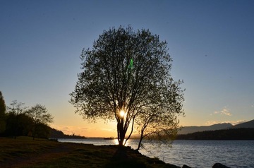 F13_1615_sm.JPG