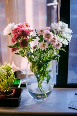 L1013751 - 