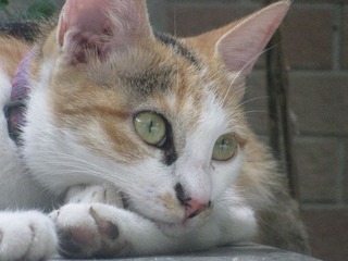 IMG_8365.JPG