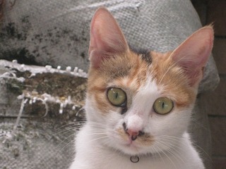 IMG_8341.JPG