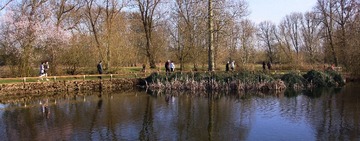 IMG_6077_resize.jpg