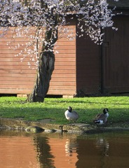 IMG_6110_resize.jpg