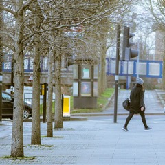 DSC01771C