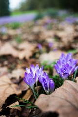 DSC03890 - 