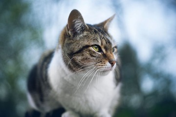 DSC07706 - 