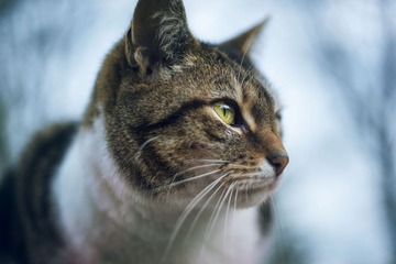 DSC07708 - 