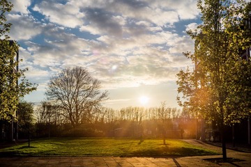DSC07967 - 