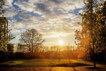 DSC07967 - 