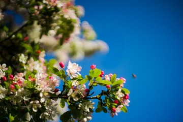 DSC08974 - 