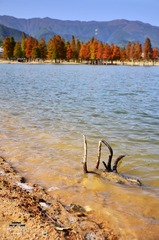 DSC_0642.JPG