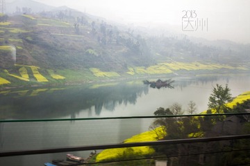 达州覃家坝油菜花.jpg