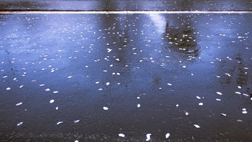 雨后蓝天2.jpg