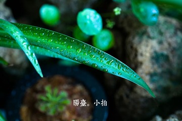 YY4N4100