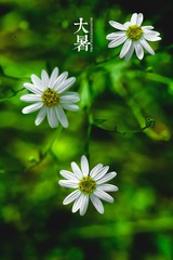 YY4N4530