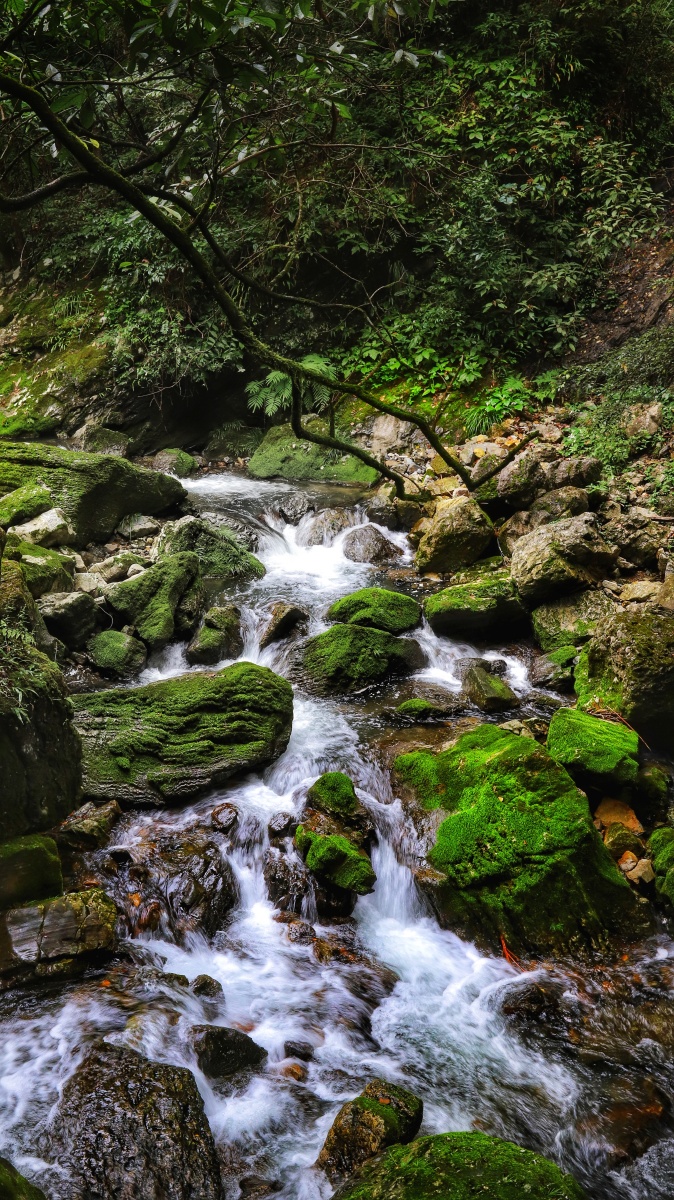 三清山玉帘瀑布水无常形