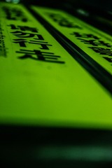 _MG_9214.jpg