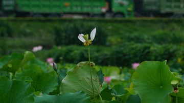 375274