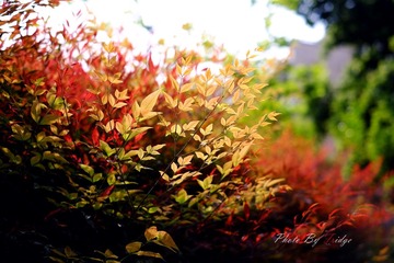DSCF2207.jpg