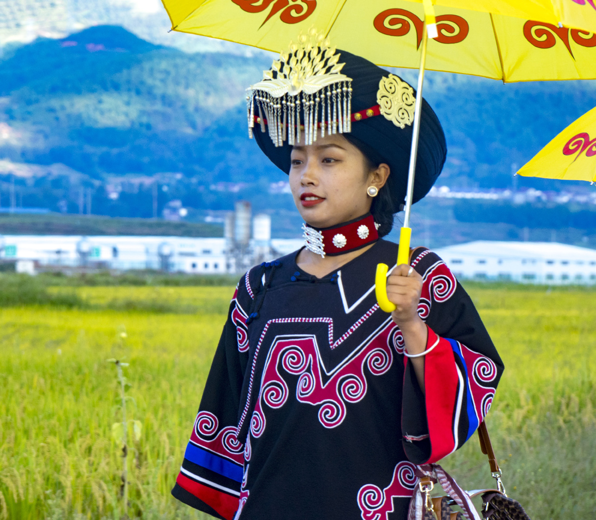 一路稻香一路歌大凉山普雄镇彝族尝新米节纪实