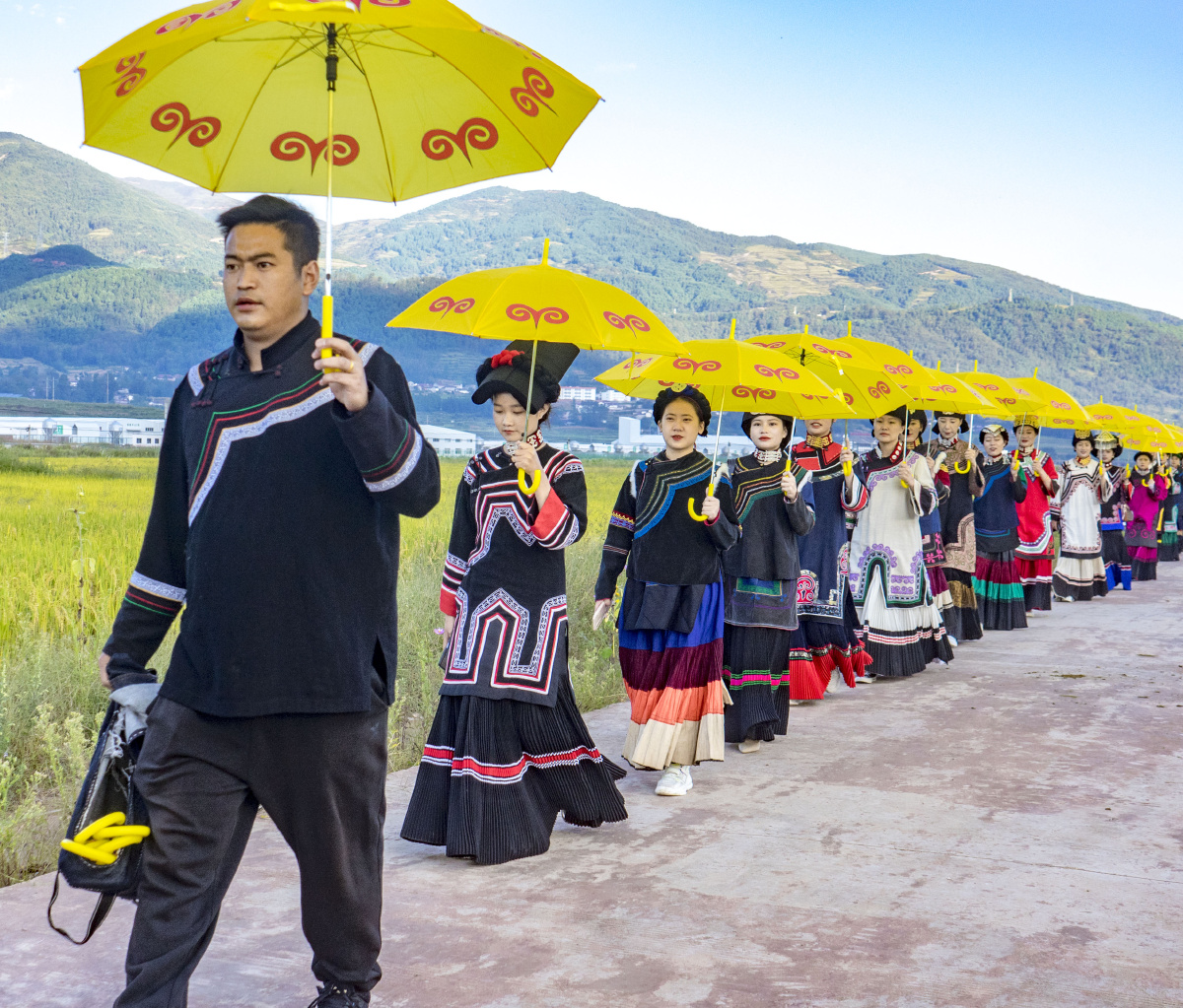 一路稻香一路歌大凉山普雄镇彝族尝新米节纪实