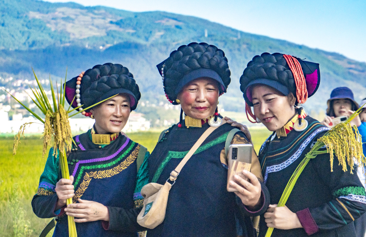 一路稻香一路歌大凉山普雄镇彝族尝新米节纪实