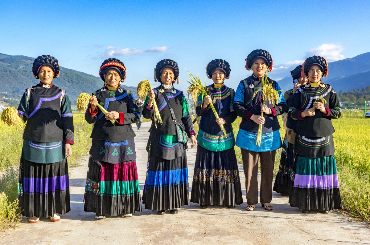 一路稻香一路歌大凉山普雄镇彝族尝新米节纪实