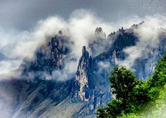 DSC00591